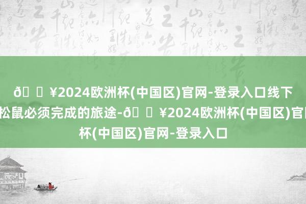 🔥2024欧洲杯(中国区)官网-登录入口线下彭胀是三只松鼠必须完成的旅途-🔥2024欧洲杯(中国区)官网-登录入口