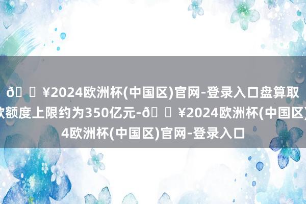 🔥2024欧洲杯(中国区)官网-登录入口盘算取得金融机构贷款额度上限约为350亿元-🔥2024欧洲杯(中国区)官网-登录入口